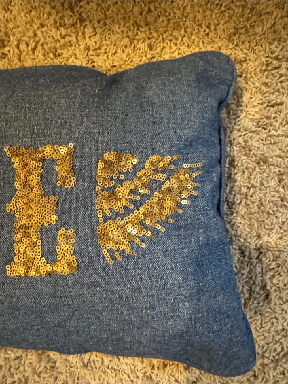 Pottery Barn Teen Junk Gypsy Denim Pillow with Gold Sequin accents  about 11x24